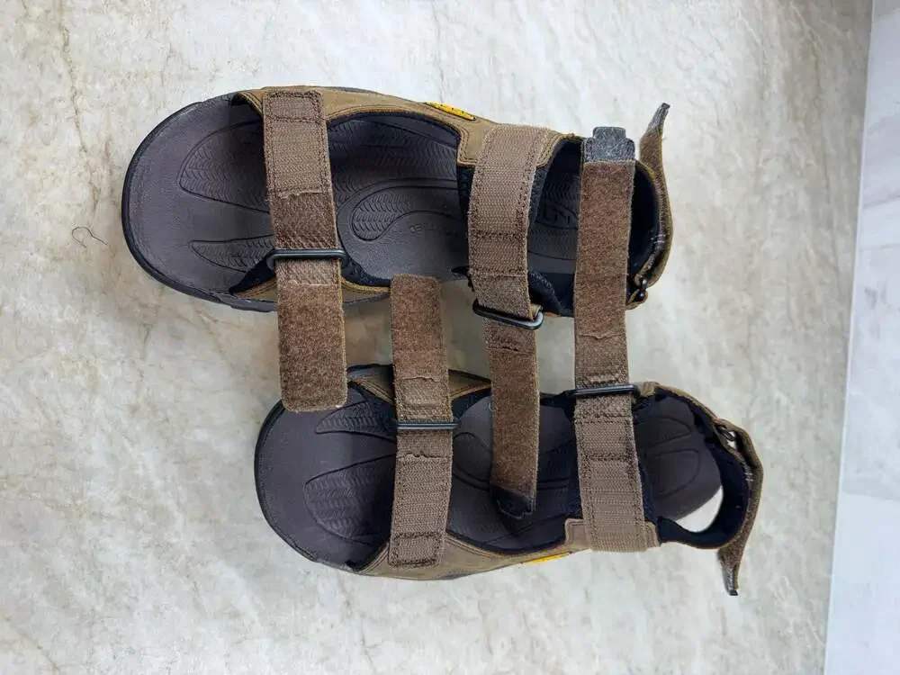 Keen rugged targhee
